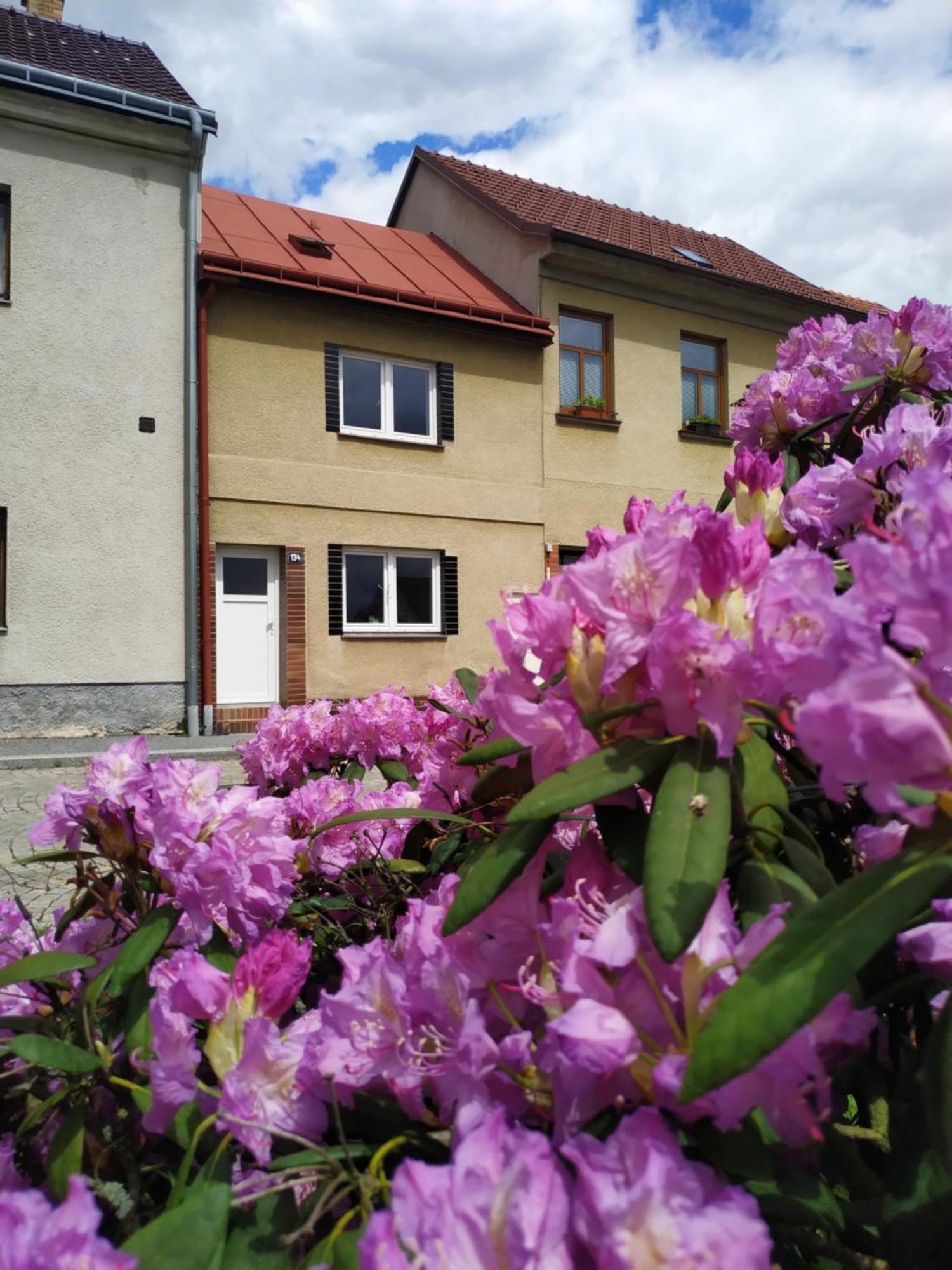 Motel Vega Sezimovo Ústí Exterior foto